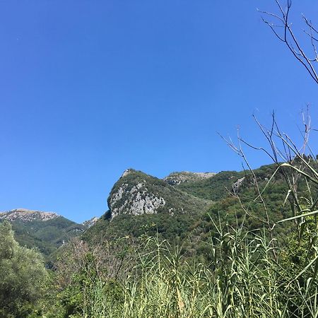 Casa La Wanda - Camaiore Toscana - 2 Bedroom & Terrace ภายนอก รูปภาพ