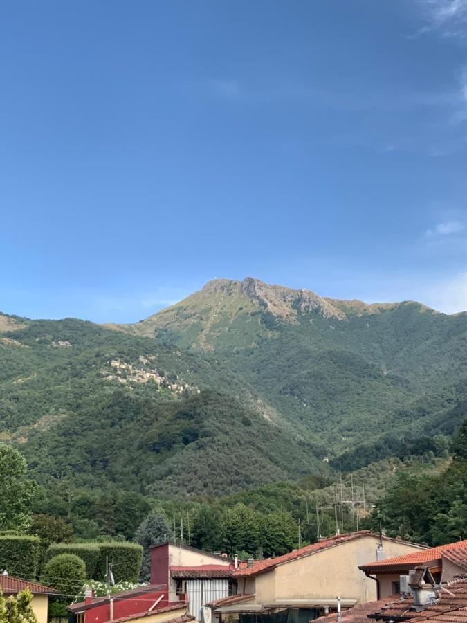 Casa La Wanda - Camaiore Toscana - 2 Bedroom & Terrace ภายนอก รูปภาพ