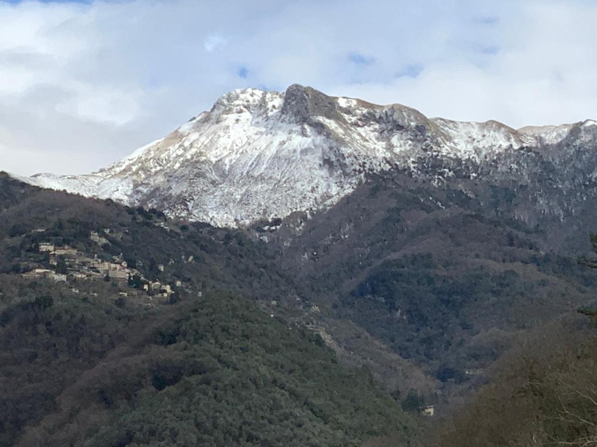 Casa La Wanda - Camaiore Toscana - 2 Bedroom & Terrace ภายนอก รูปภาพ